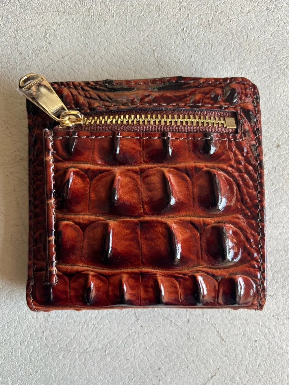 Brahmin compact card